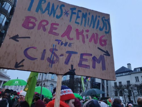 Picket sign held up on the street. It reads: "Trans*Feminists Breaking the Ci$-tem"