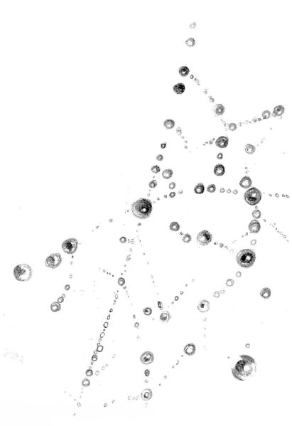 File:Droplets.jpg