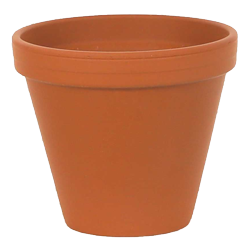 A small, orangey-brown terracotta plant pot