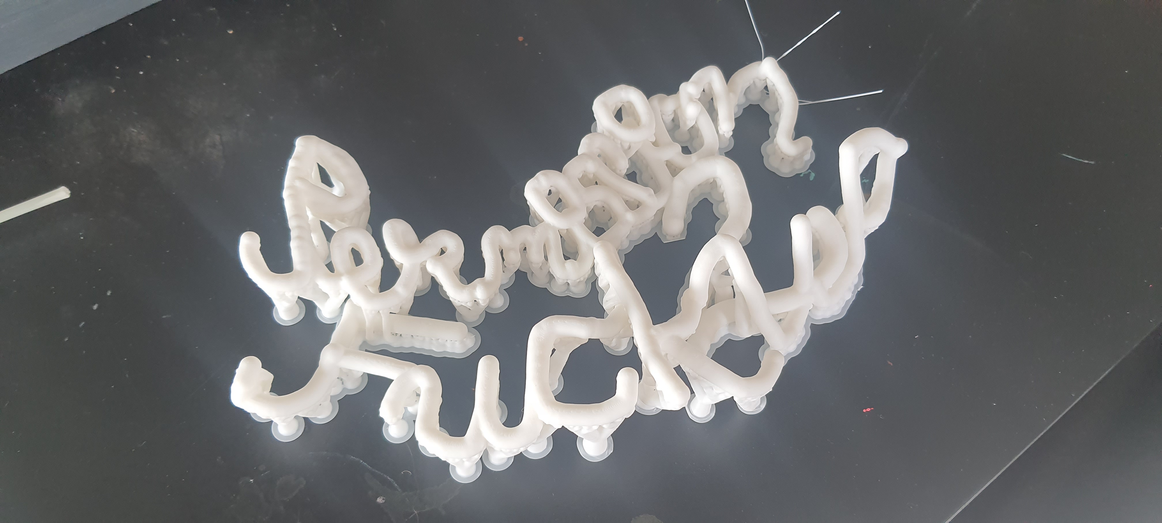 3D printed encrypted Text