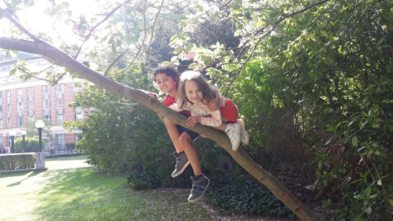 File:KidsinTree.jpg
