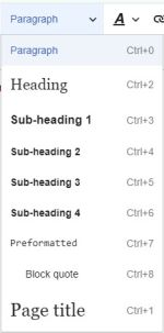 A screenshot of Paragraph settings on Edit mode